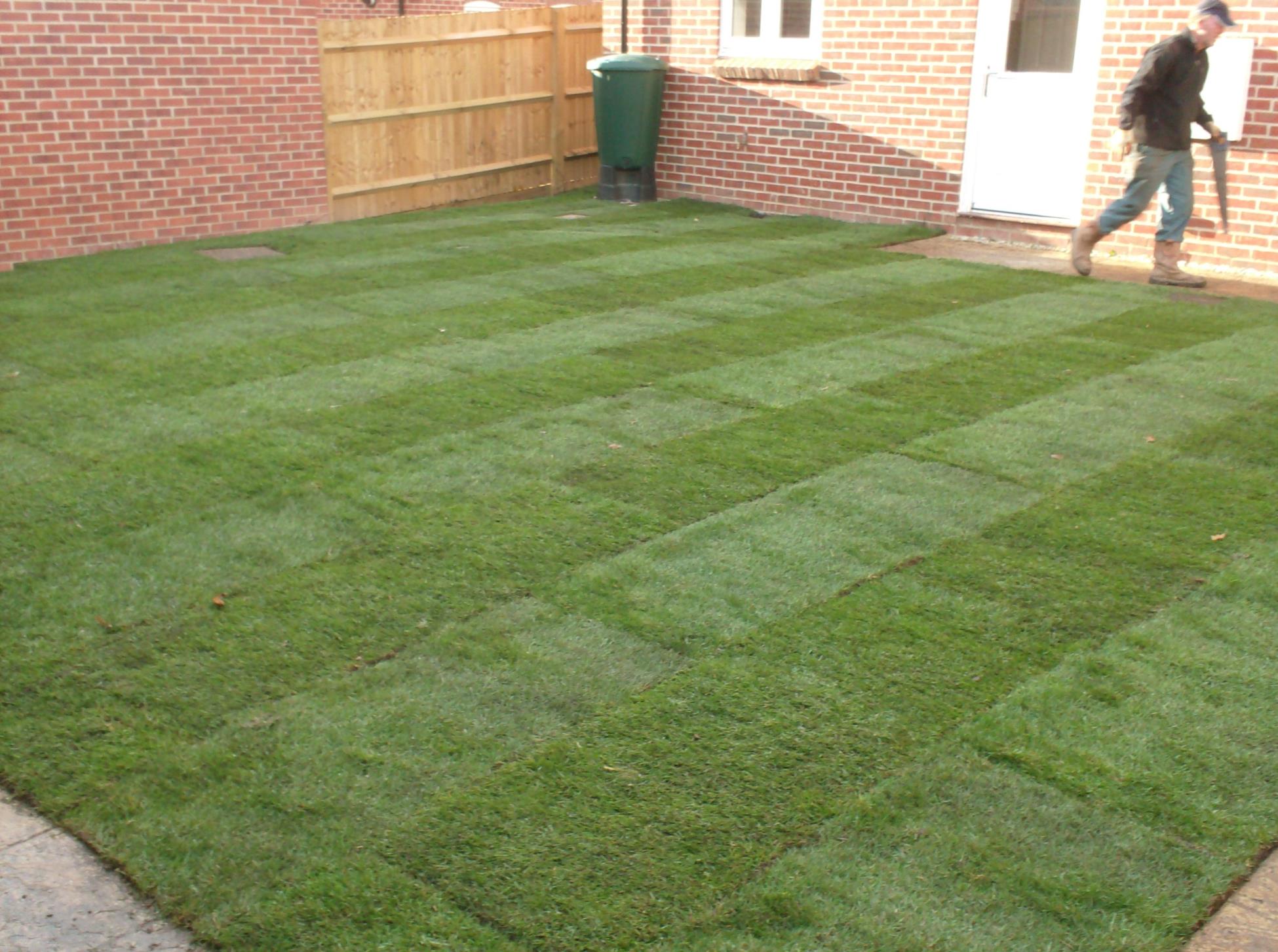 garden lawn