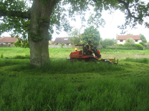 Long Grass Cutting - Gillingham