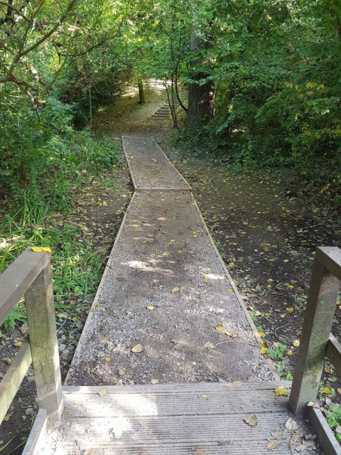 Woodland Pathway Renovation