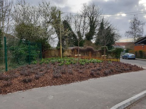 Soft Landscaping at a Local School