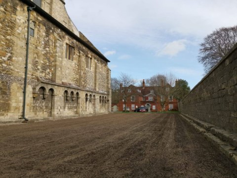 Commercial Seed Bed Preparation