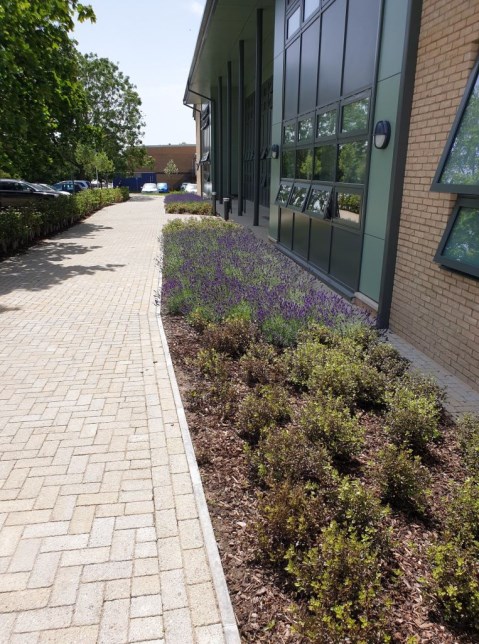 Landscaping for Stonehenge School