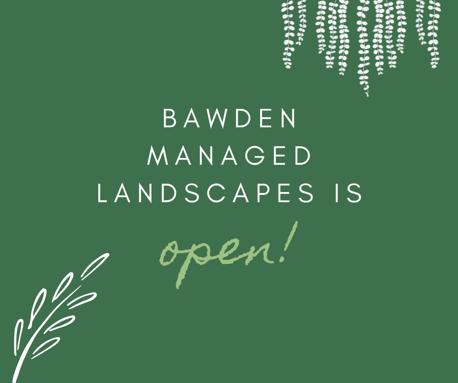 We're Open! - COVID-19 Update