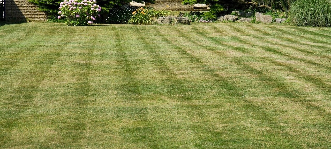 garden turf
